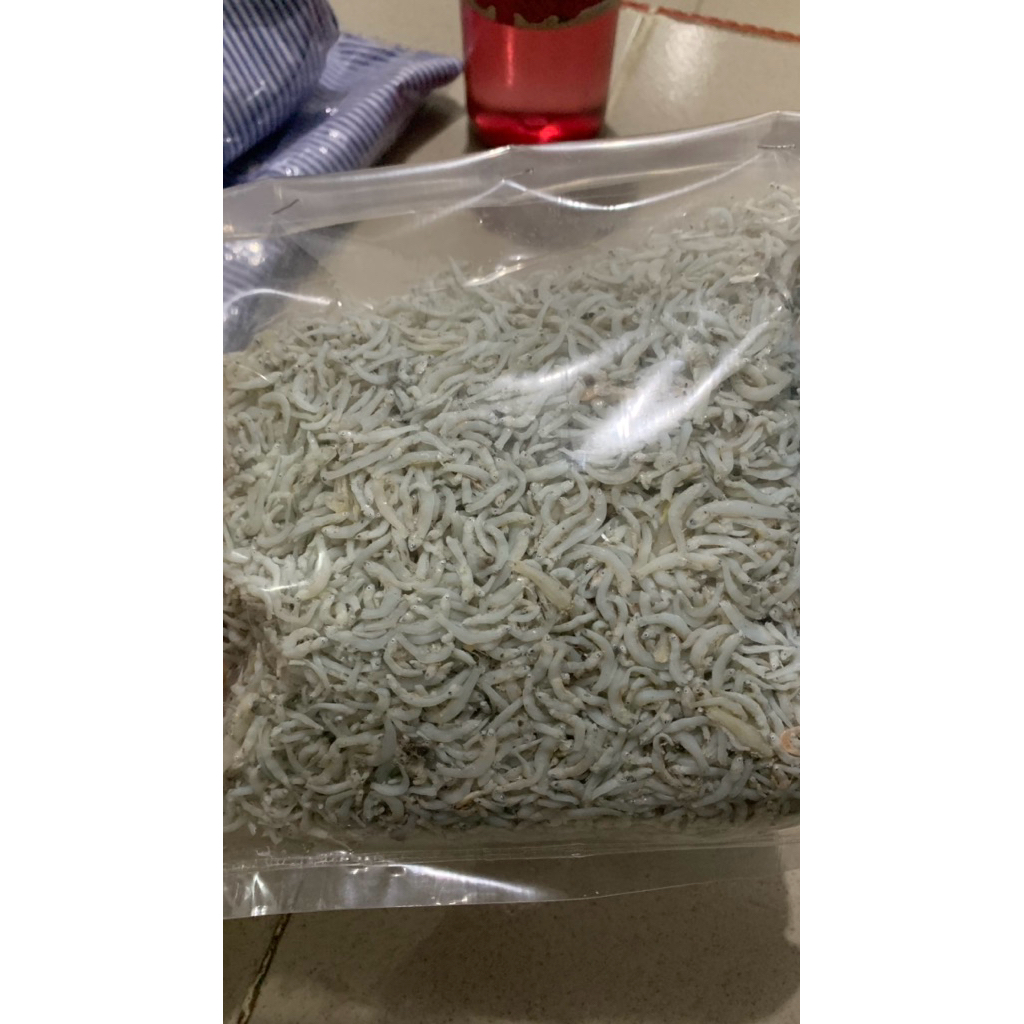 ikan Teri Nasi teri medan asli fresh