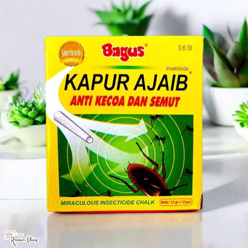 Kapur Pengusir Semut & Kecoa Ampuh