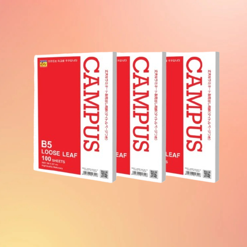 

Kiky Loose Leaf B5 100 Lembar Kertas Berkualitas