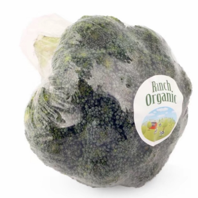 

Sayur Brocoli Organic Lokal Fresh / Pcs