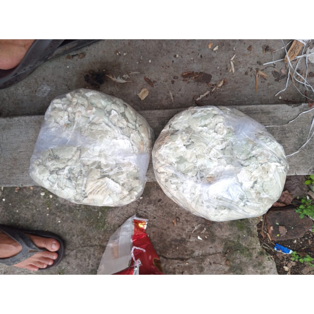 cangkang telur bebek 1kg