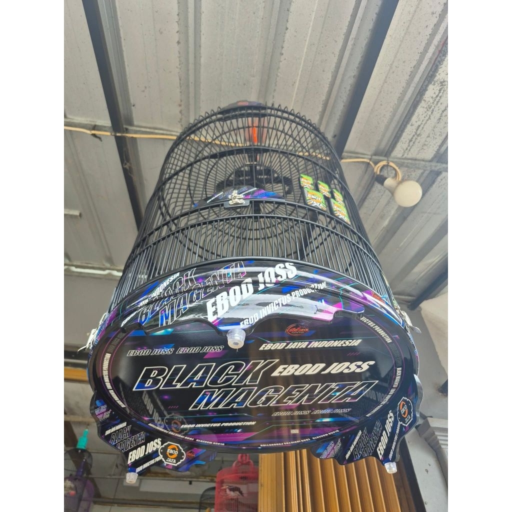 SANGKAR MURAI DECAL NO. 2 EBOD JAYA INVICTUS SERIES EBOD JOSS BLACK MAGENTHA