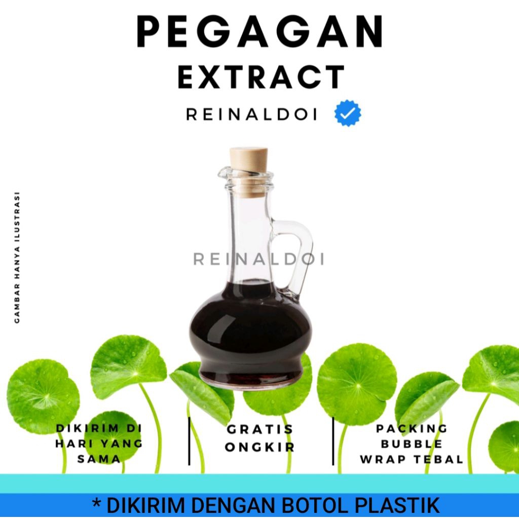 Centella Asiatica Extract Ekstrak Pegagan 100 ML