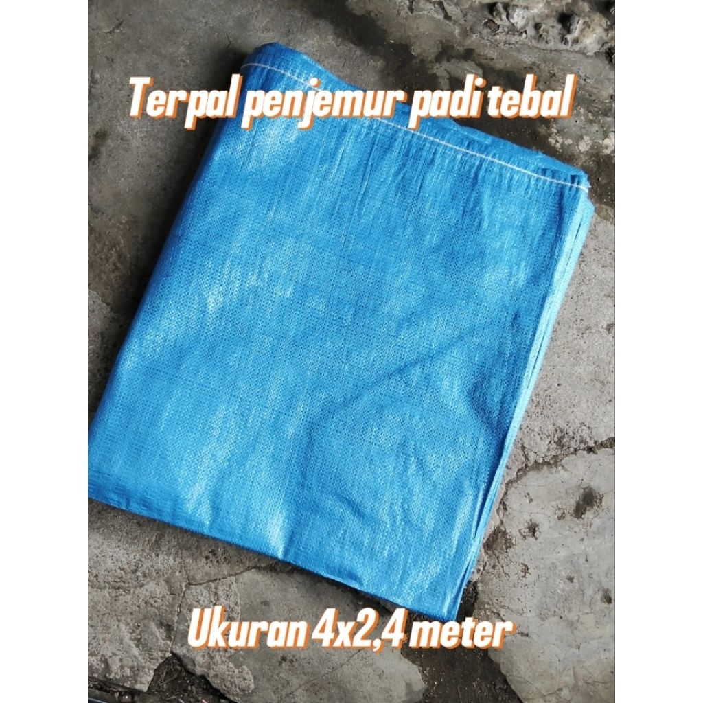 Terpal Jemur Padi Tebal 4x2,4 Meter/Alas Jemur Padi/Gelaran Jemur Padi