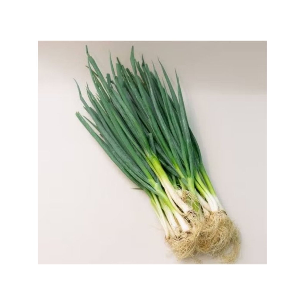 Bawang Daun/Daun Bawang Segar/1kg