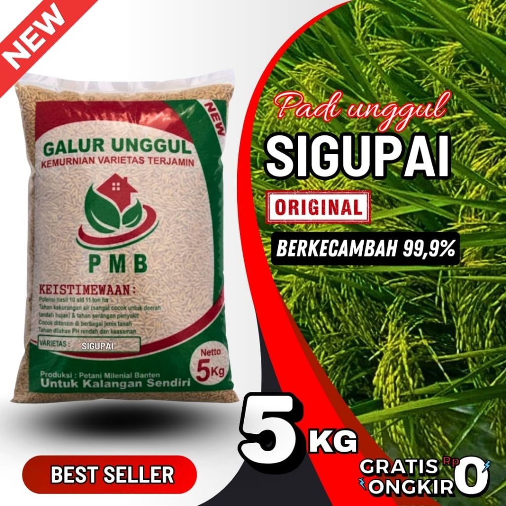 Benih/bibit padi unggul SIGUPAI kemasan 5kg, original
