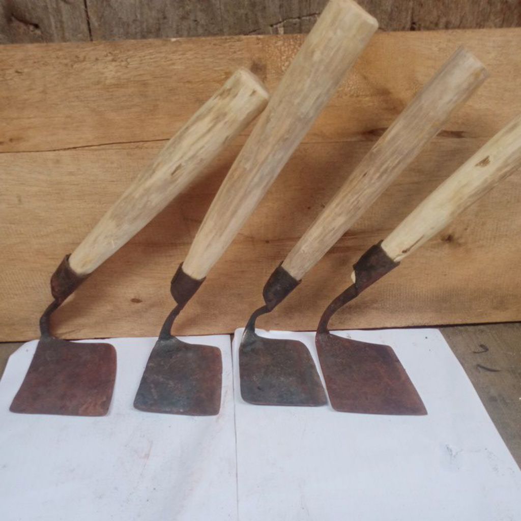 kored rumput, gambut