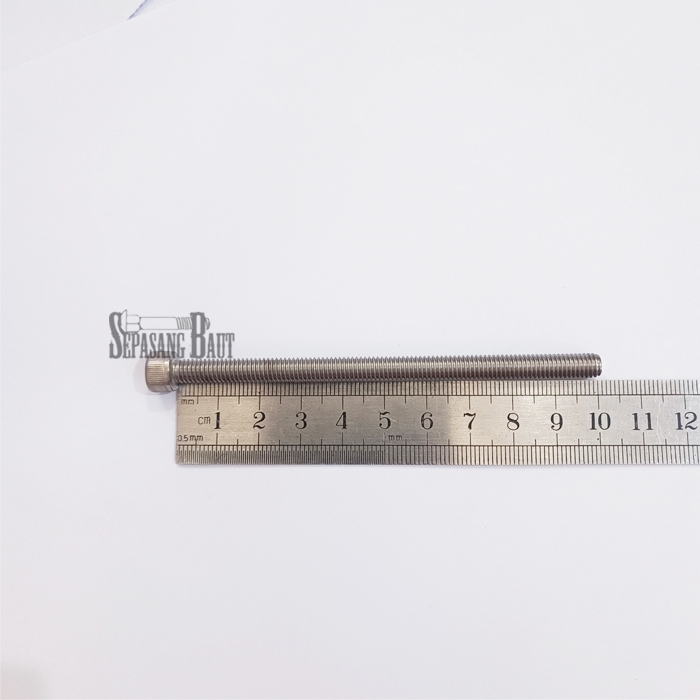 M6 x 100 Baut L Hex Head Socket Screw Stainless 304 M6x100