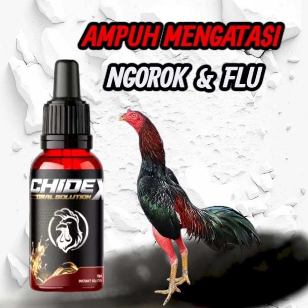 Chindex khusus obat ayam ngorok dan flu snot pilek ampuh untuk ayam ngorok