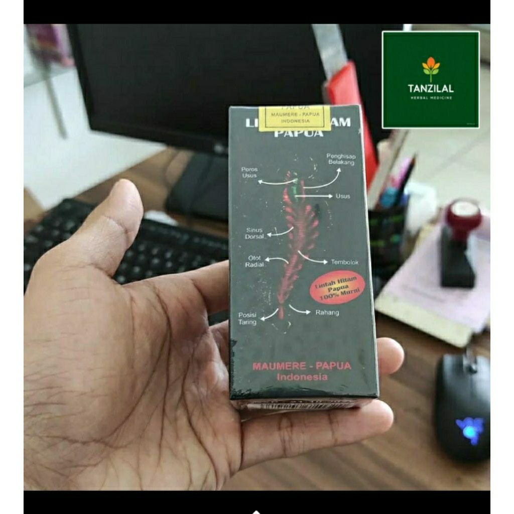 Minyak Lintah Hitam Papua Asli 100% Minyak Lintah Original 100% asli Minyak Lintah Original