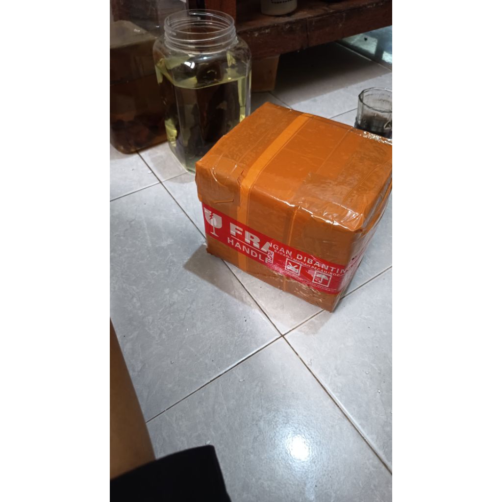 box packing ikan gupy & cupang