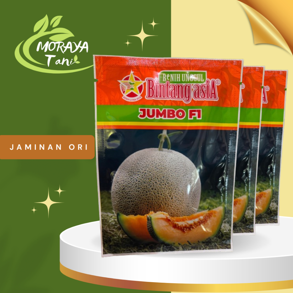 Benih melon daging orange Jumbo F1 Cap Bintang Asia BCA