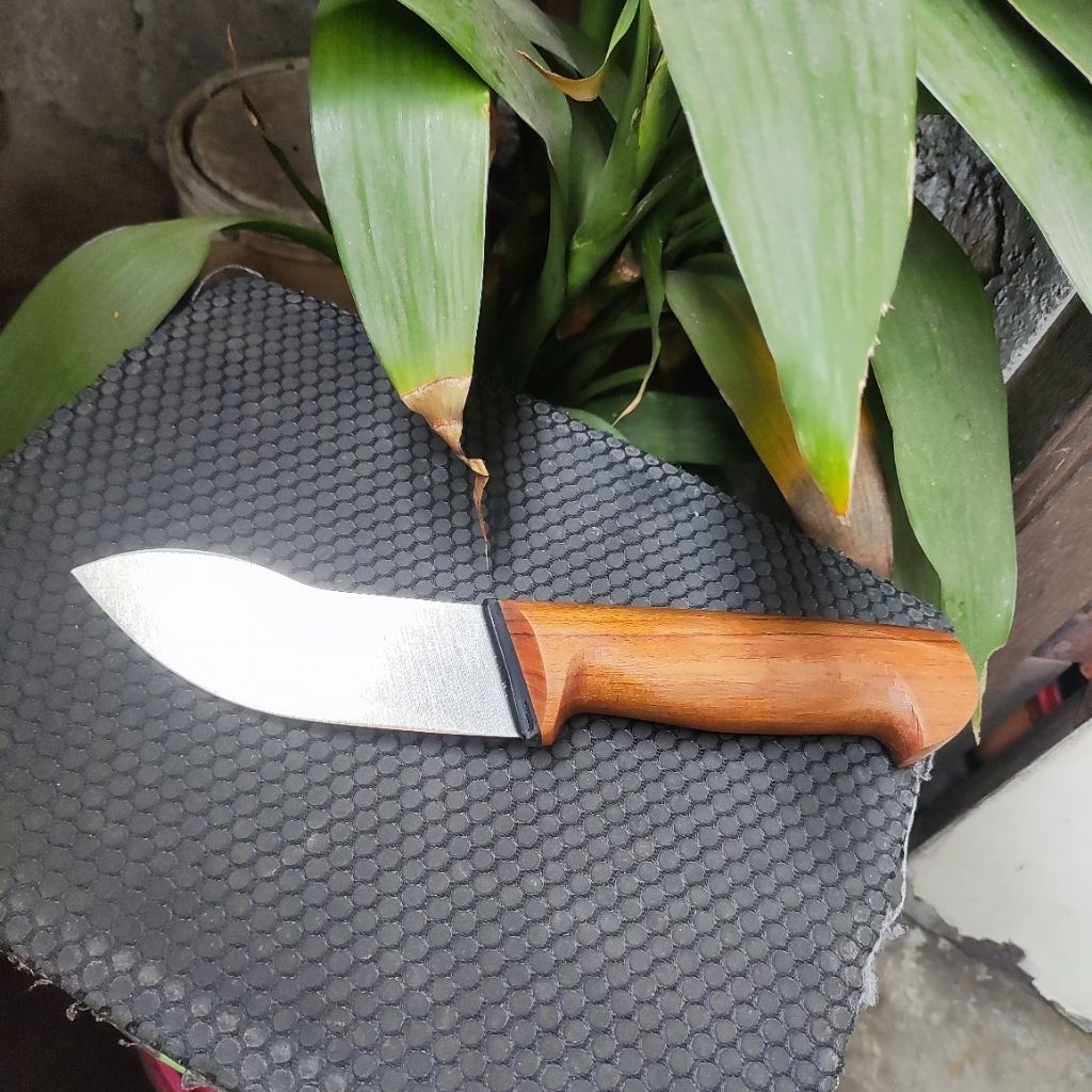 pisau seset daging model mini bulnos d2