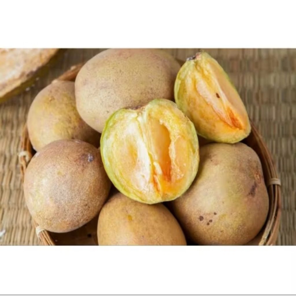 

Sawo Madu Segar Manis 1kg – Buah Tropis Asli Pangandaran | Sawo Madu Premium Asli