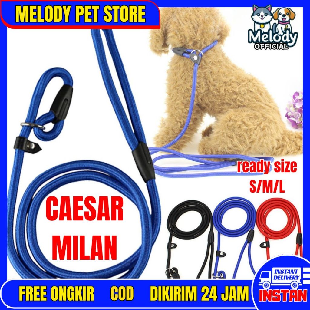 melodyps CAESAR MILAN Tali Tuntun Pelatih Anjing Cesar Milan Dog Training Leash collar harness Cesar