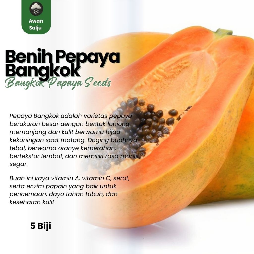 Benih Buah Pepaya Bangkok Bibit Buah Pepaya Bangkok Benih Buah-buahan Berkualitas