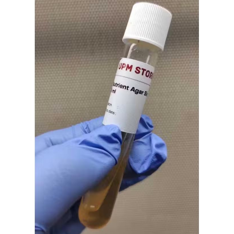 Triple Sugar Iron Agar (TSIA)/Nutrien Agar Miring-Nutrient Slant Agar - Pepton dan BHI, volume 5 ml 