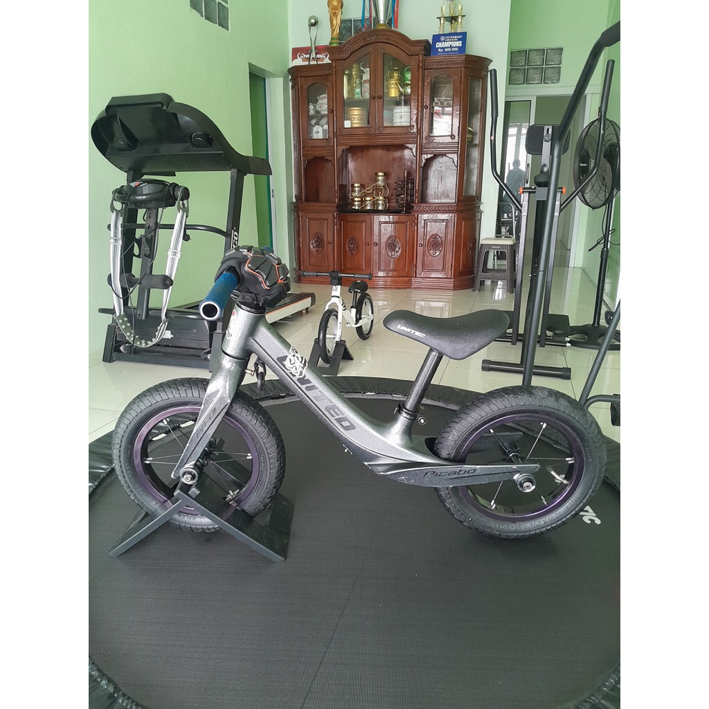 sepeda PICABO