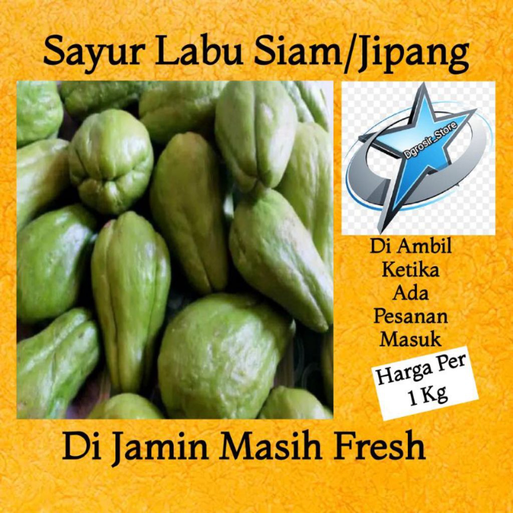 

LABU SIAM SAYUR FRES 5kg LANGSUNG DI AMBIL DARI POHONNYA