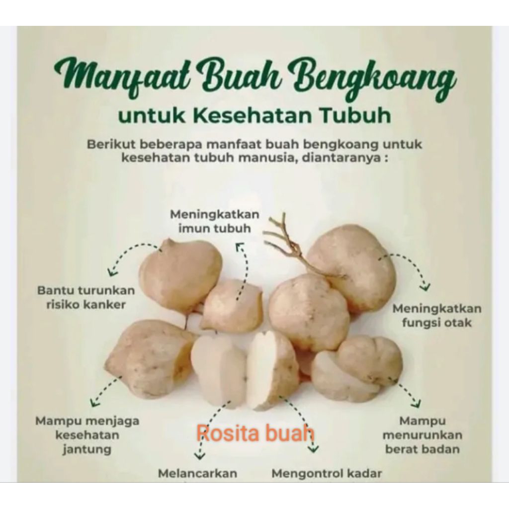 

bengkoang lokal 1 kg