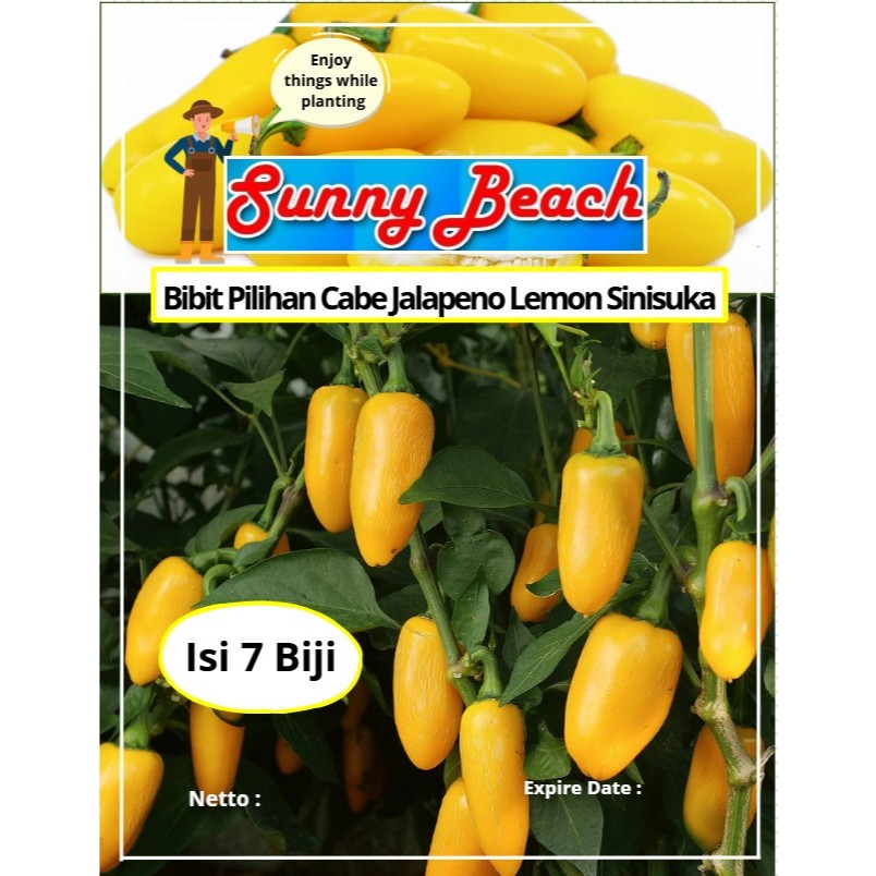 Bibit Pilihan Cabe Jalapeno Lemon Sinisuka | Biji Benih Jalapeno Kuning | Jalapeno