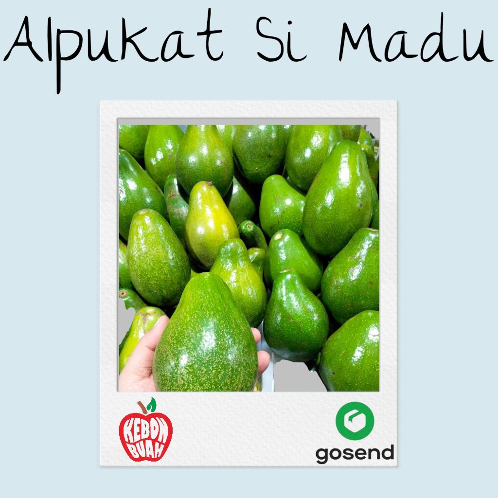 Alpukat Si Madu