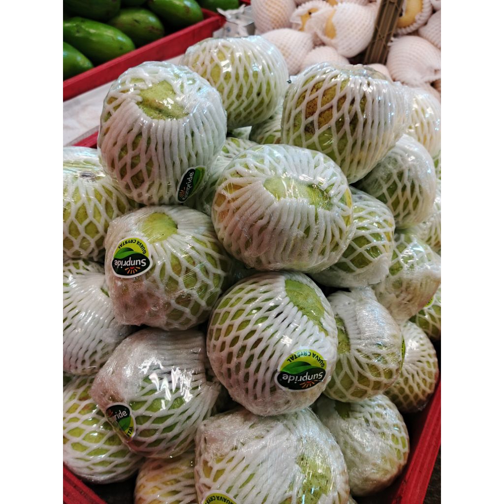 jambu kristal sunpride