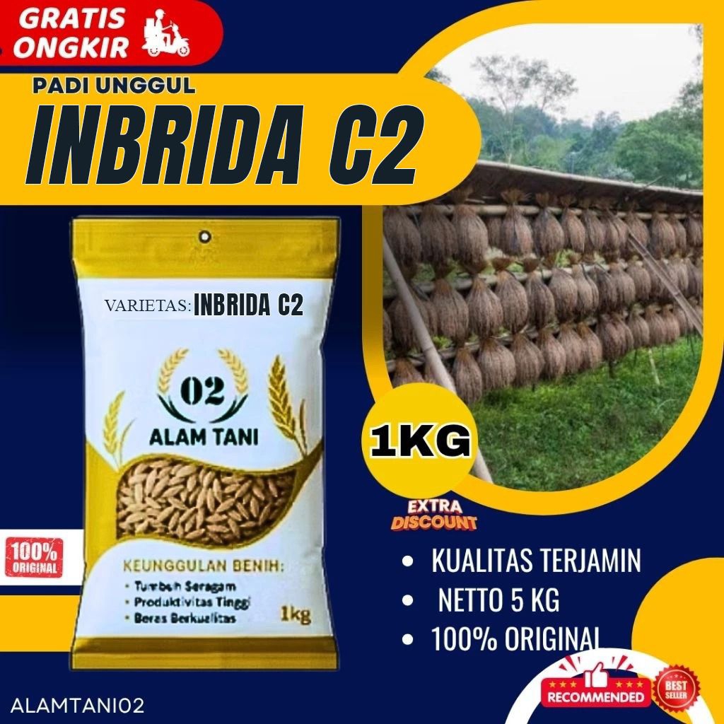 Benih padi bibit padi INBRIDA C2 original 1 kg