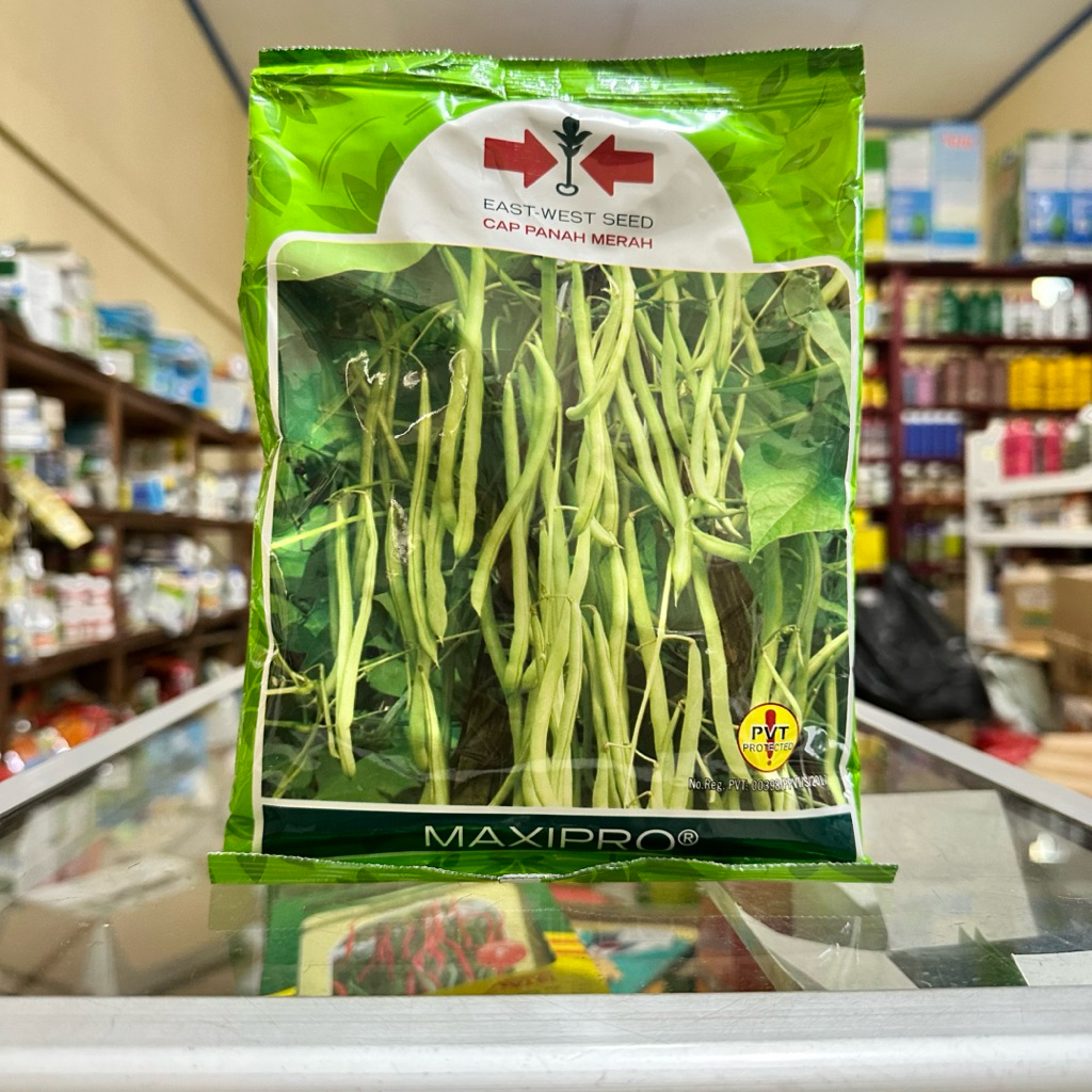 Benih Buncis MAXIPRO 500gram - Bibit Buncis Maxipro 500gram cap Panah Merah