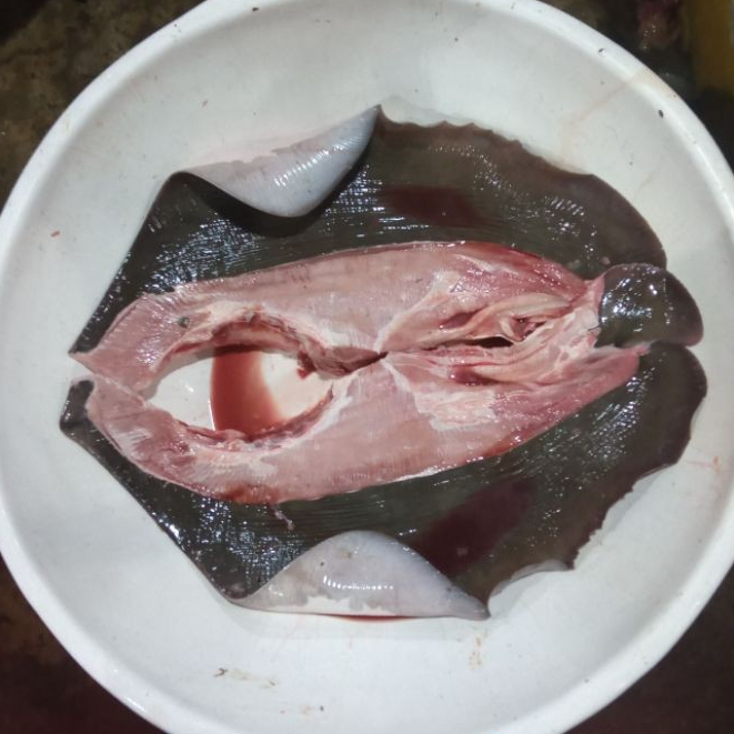 Ikan Pari 1Kg Ikan Pari Segar Ikan Pari fillet Seafood Ikan Laut Ikan Segar