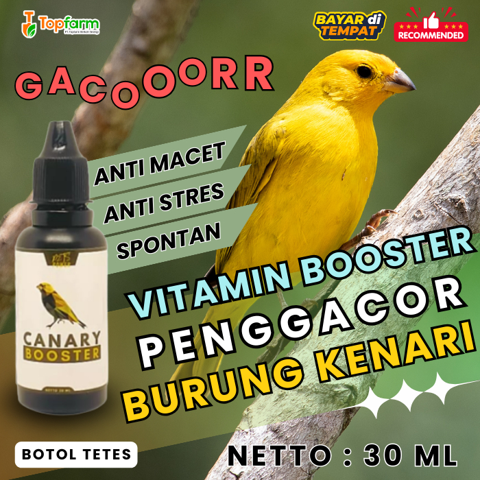 Vitamin Khusus Burung Kenari/ Obat Kenari Serak 30ML/ Booster Burung Kenari/ Obat Kenari Macet Bunyi