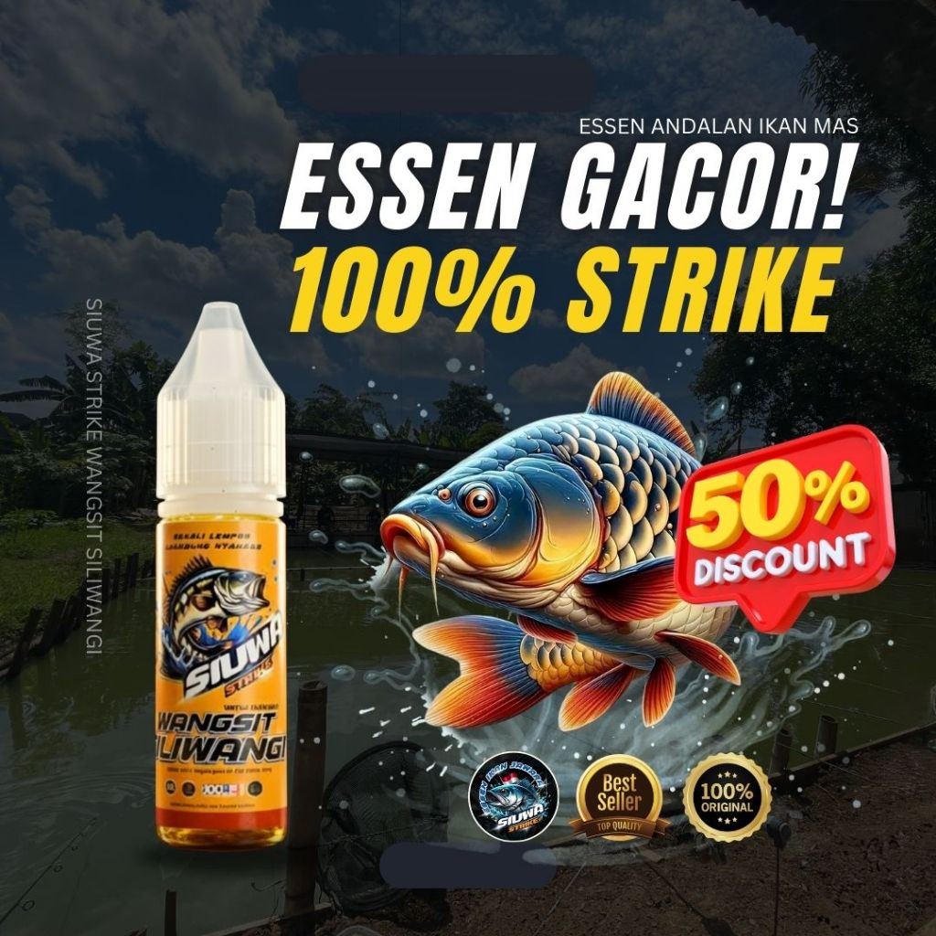 Minyak Essen Ikan Mas Majalaya Untuk Kolam Harian Lomba Galatama Indukan Aroma super Tajam