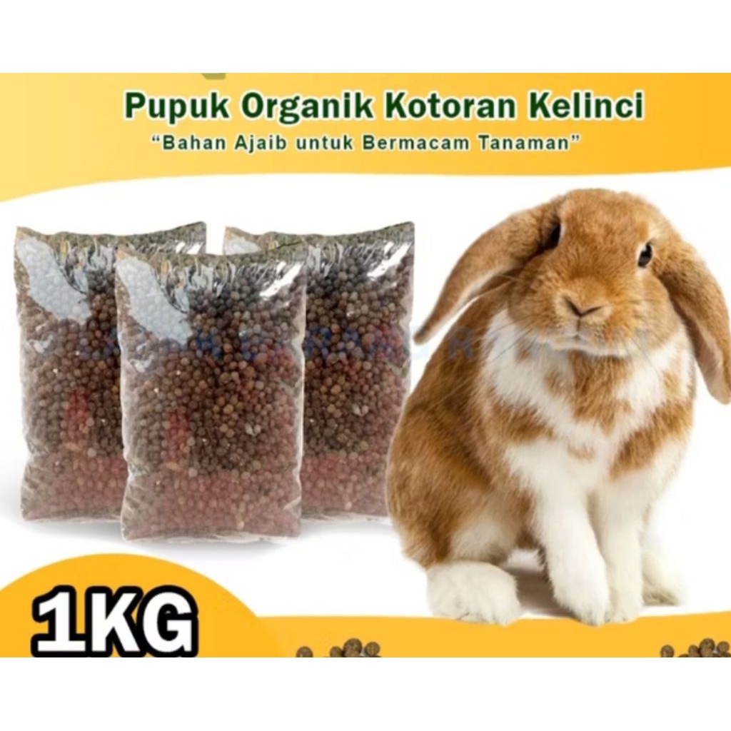 pupuk kandang kotoran kelinci