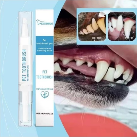 Pembersih Karang Gigi Kucing Pembersih Karang Gigi Anjing Teeth Cleaning And Spa Pen Pembersih Gigi 