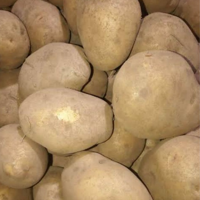 

Kentang dieng 500gram