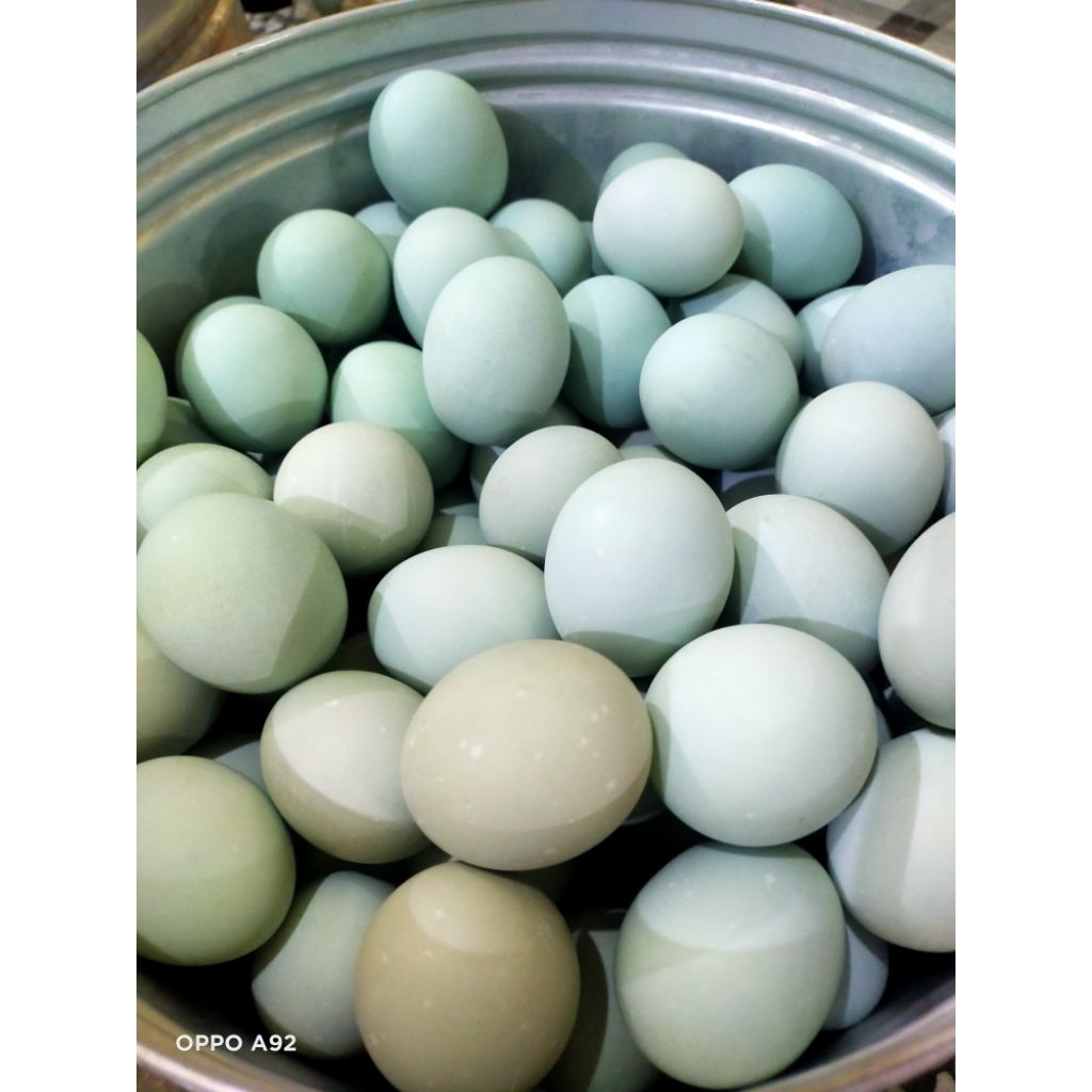 

Telur Asin Masir sedang