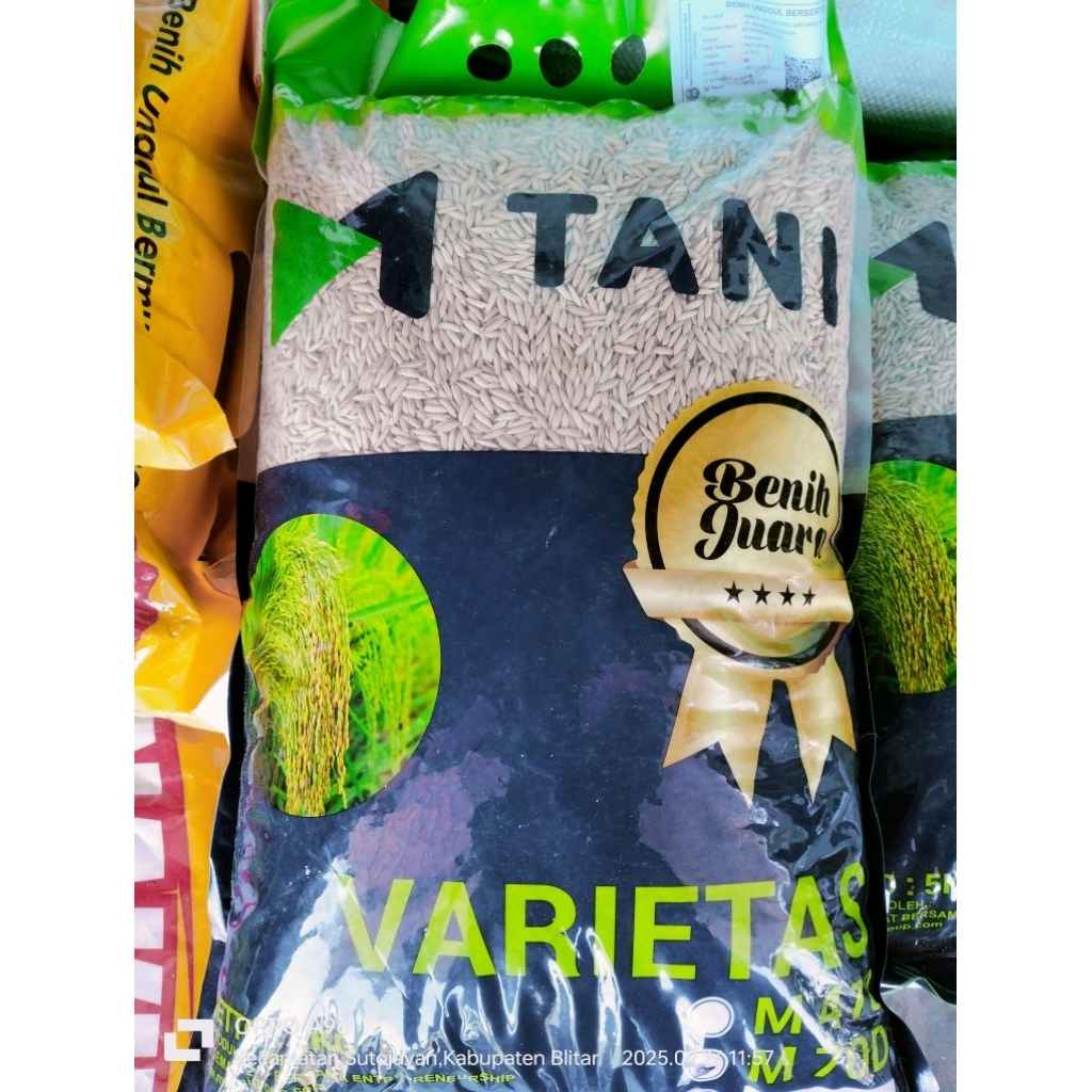 benih padi M tani M70D repack 1kg