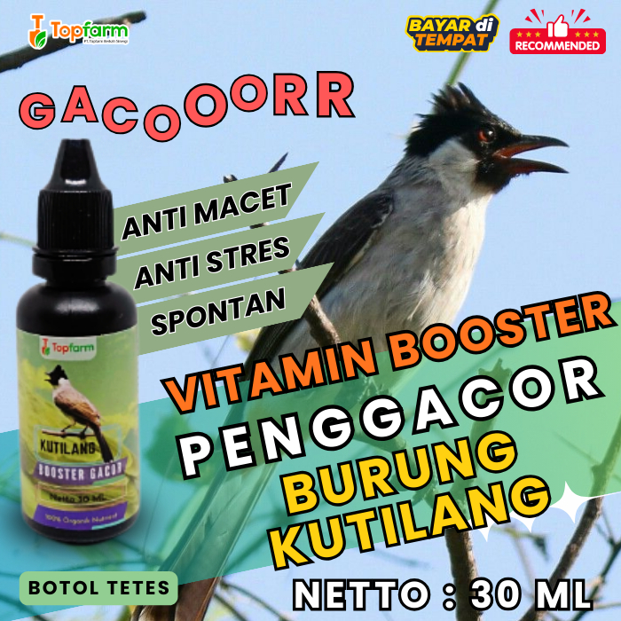 Vitamin Burung Kutilang/ Vitamin Untuk Burung Kutilang/ Vitamin Burung Kutilang gacor/ Vitamin Boost
