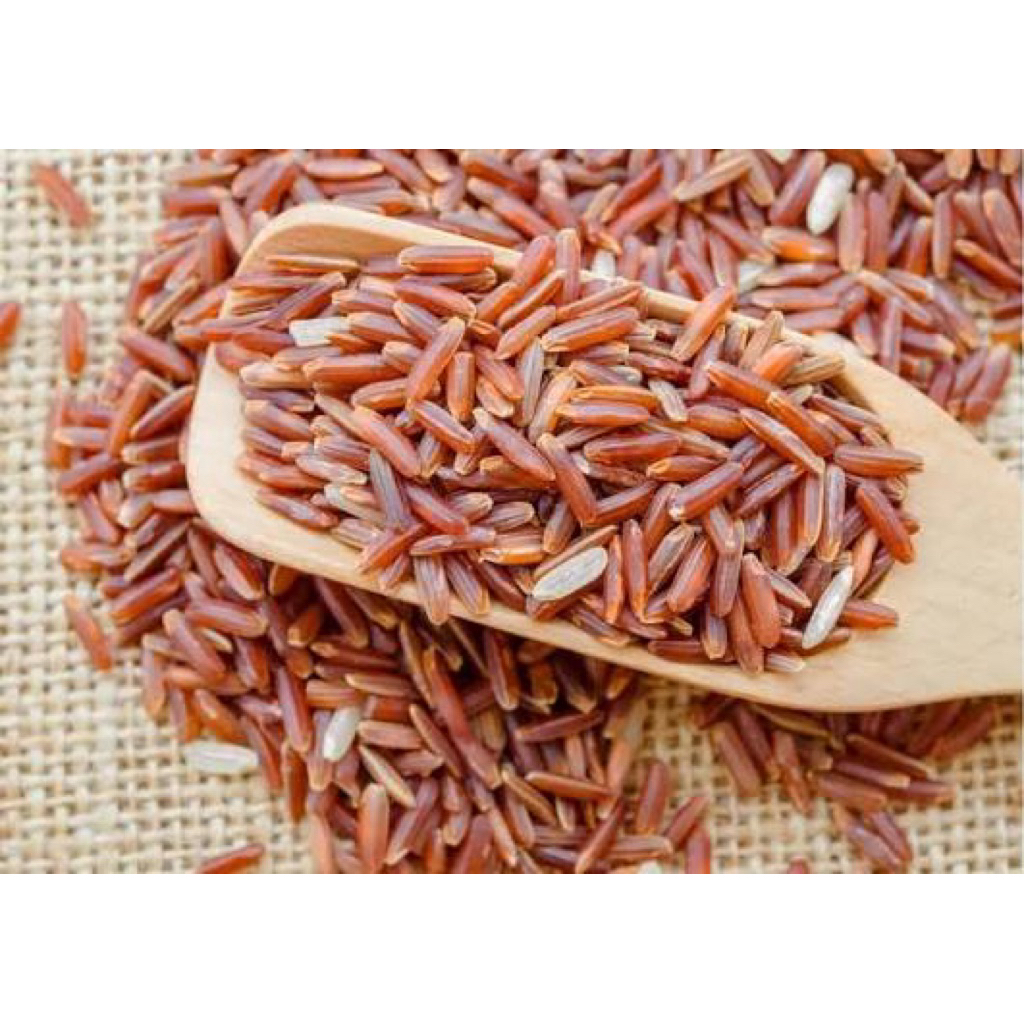 Beras Merah Pakan burung