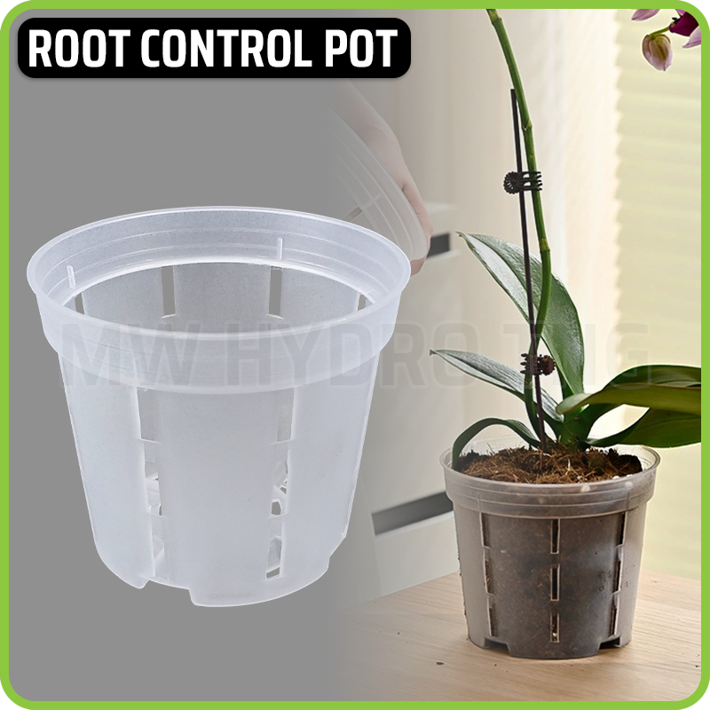 Thick Transparent Root Control Pot for Orchid | Pot Anggrek Transparan Tebal