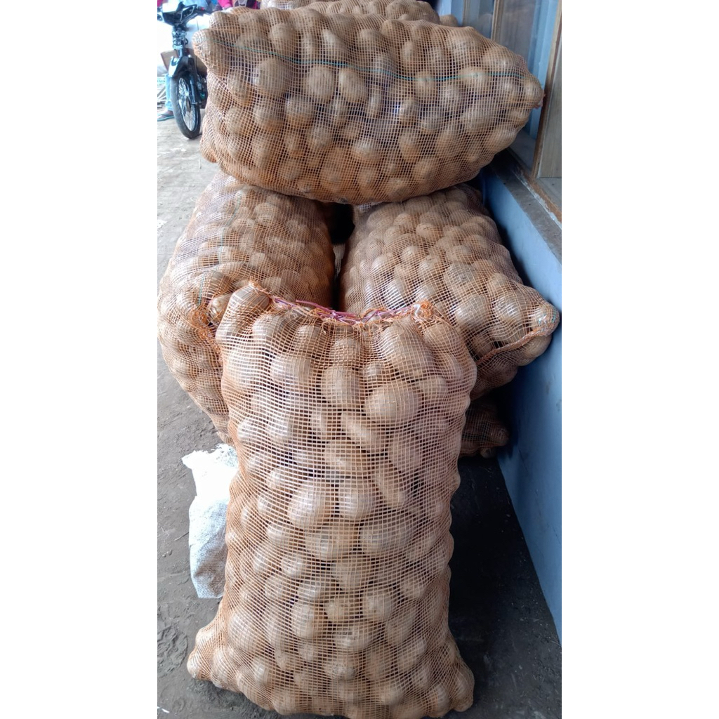 Kentang Dieng Ukuran Mix 50Kg
