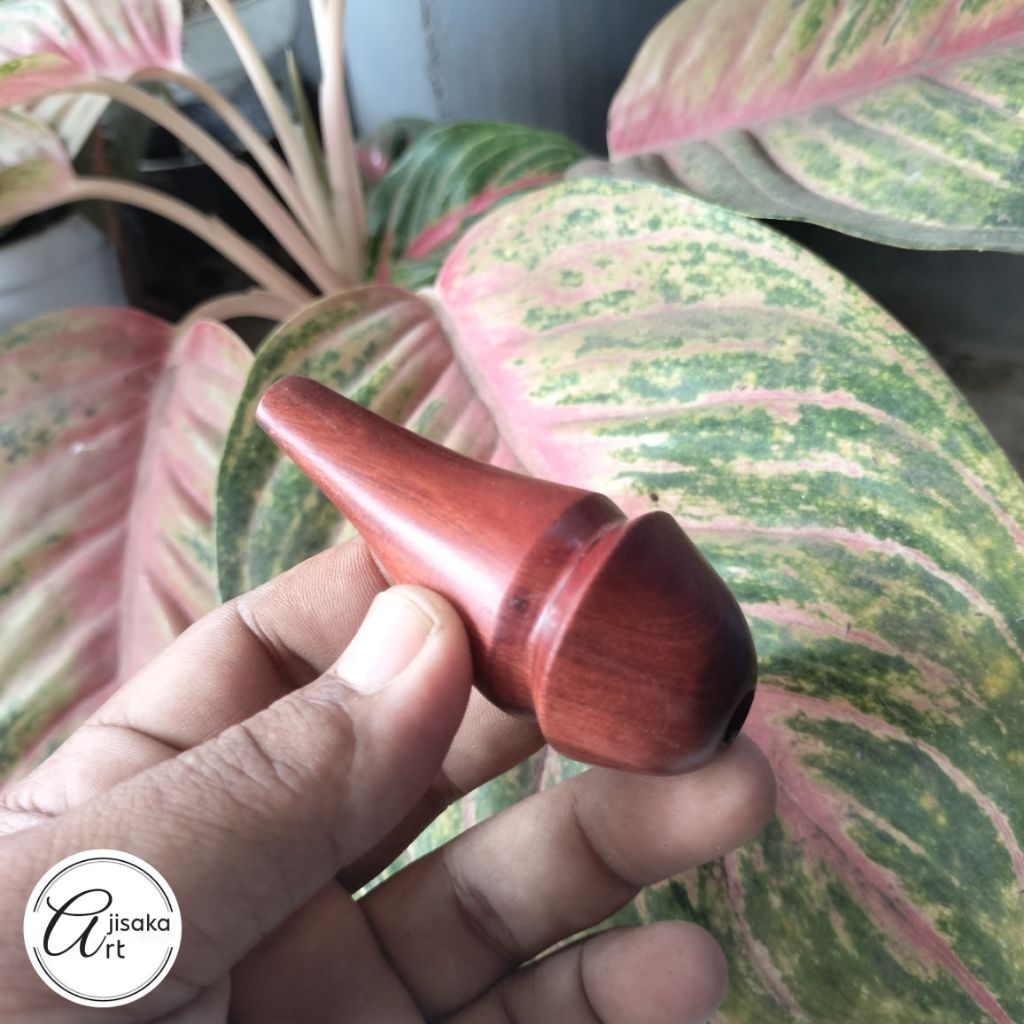 AJISAKA_ART | pipa once / once cangklong unik dan antik kayu nagasari