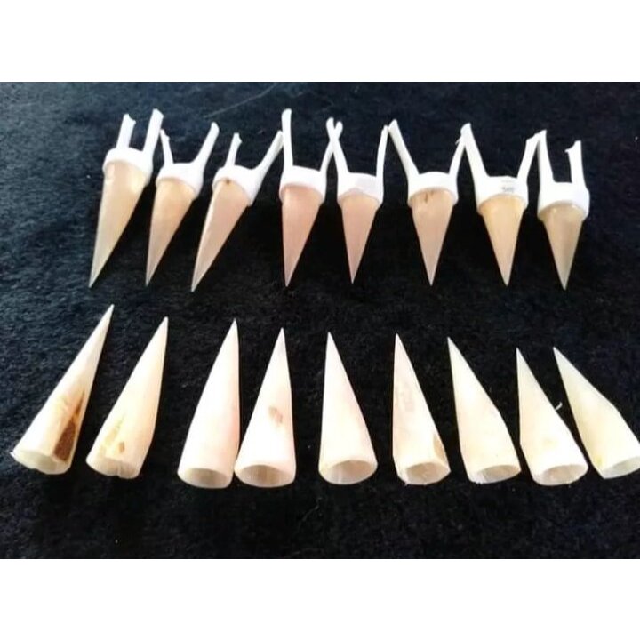 Jalu Sambung Ayam Aduan - Jalu Ayam Bangkok Berkualitas