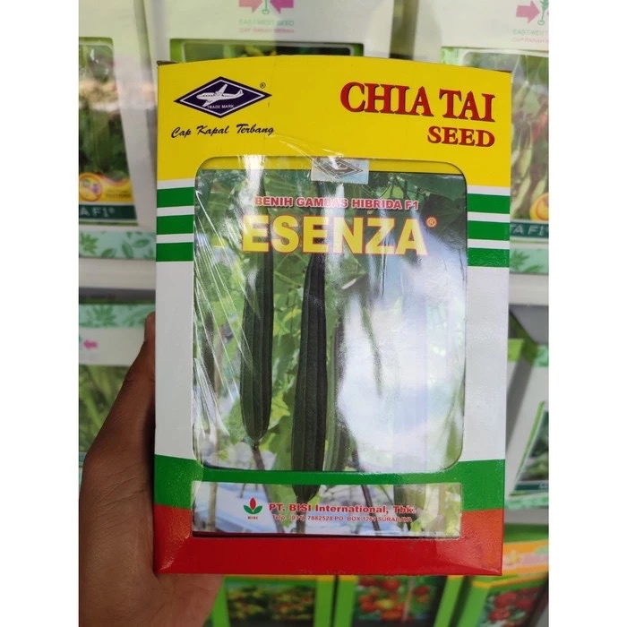 Benih Gambas ESENZA F1 isi 10 Gram - Bibit Oyong Cap Kapal Terbang