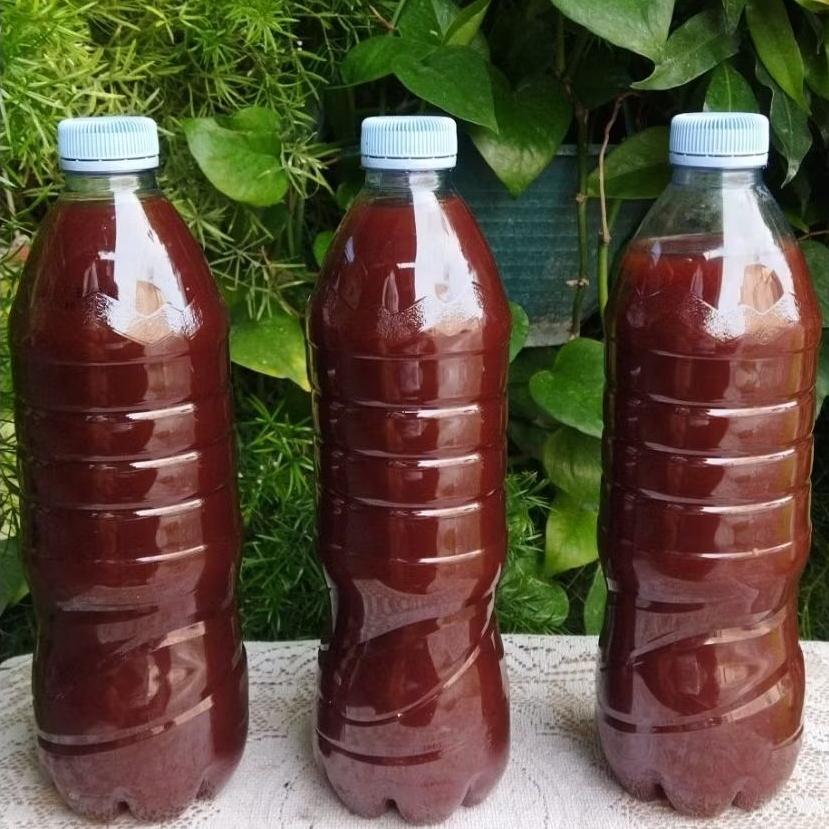 PSB ( Photo Synthetic Bacteria)