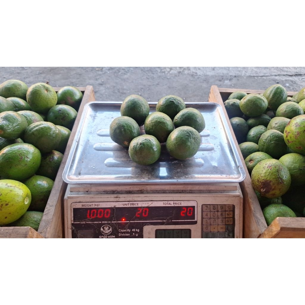 alpukat mentega bandung 1kg = 7 pcs instan only