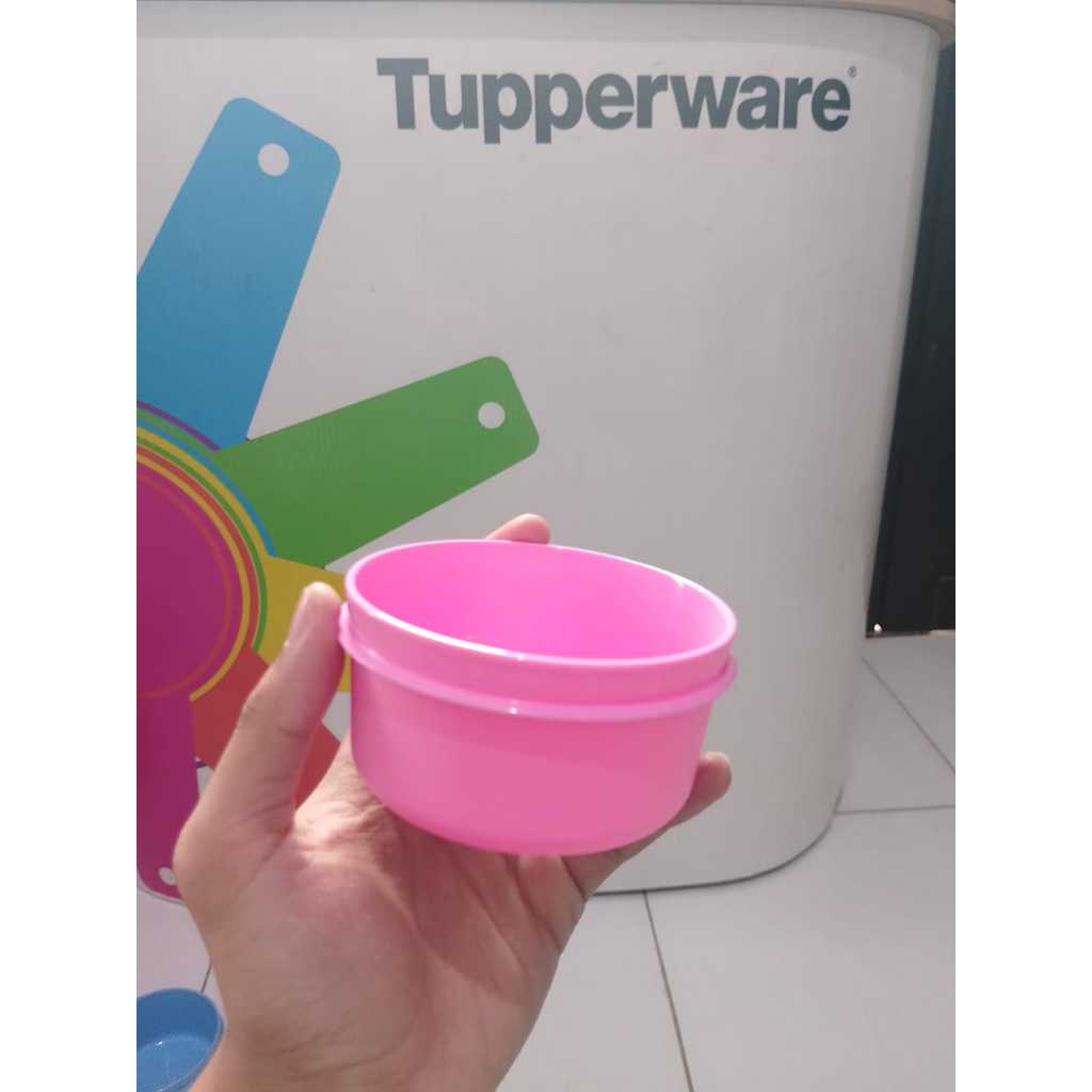 Small server Tupperware--