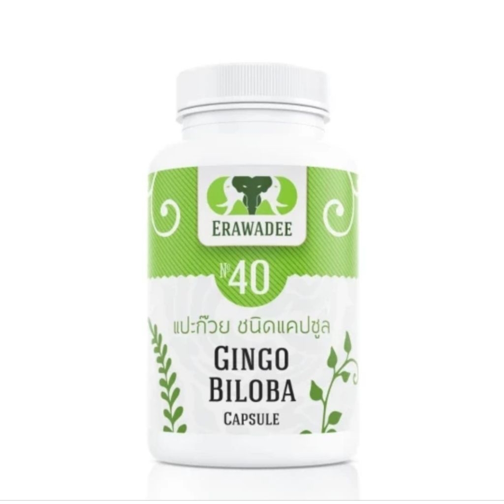 Bestbuy0404 Erawadee 40 Ginkgo Biloba Original Erawadee Thailand