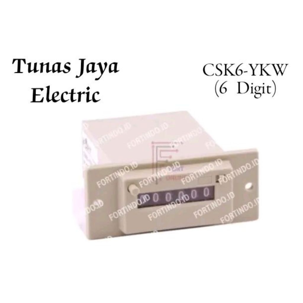 Counter Analog Voltage CKS6-YKW 220AC (6 Digit) FORT