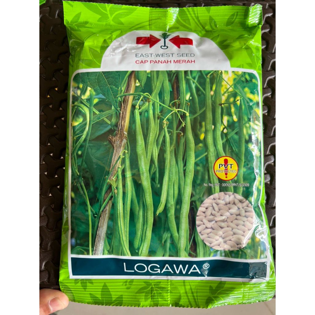 Bibit Buncis LOGAWA panah merah